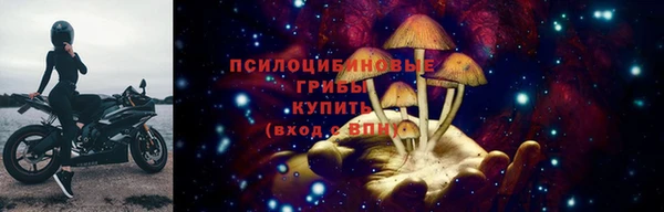 СК Абдулино