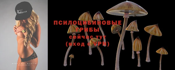 мескалин Алзамай