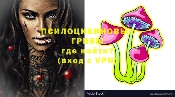 СК Абдулино