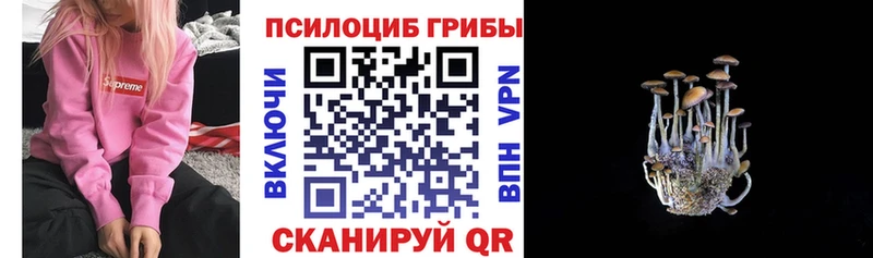 Псилоцибиновые грибы Psilocybine cubensis  купить  сайты  Брюховецкая 